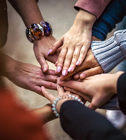 Workplace Wellbeing Support for Organisations